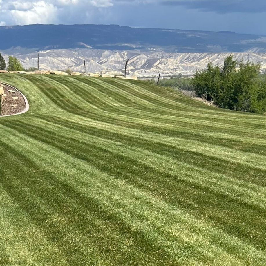 Striped lawn sloping toward the Book Cliffs, Delta County